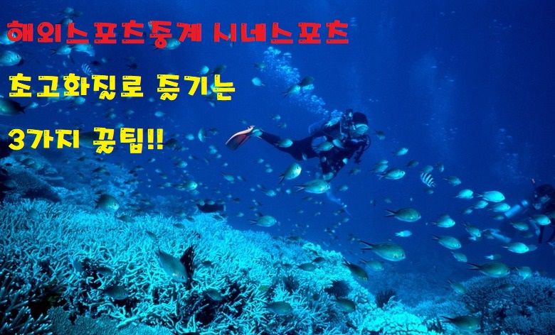 해외스포츠중계 시네스포츠